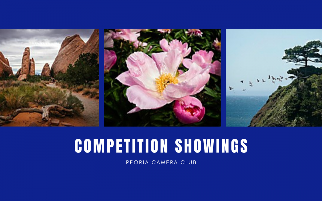 Competition Showings & Eagle Photography Panel Discussion