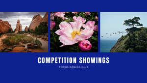 competition showings for the Peoria Camera Club