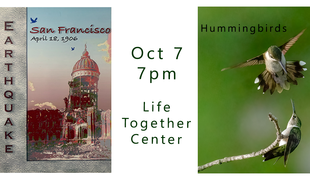 Double Feature: “Hummingbirds before and after” followed by  “1906 San Francisco Earthquake”