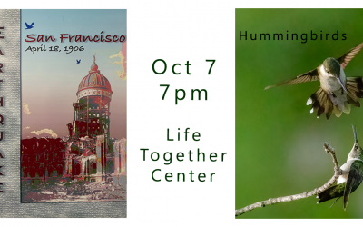 Double Feature: “Hummingbirds before and after” followed by  “1906 San Francisco Earthquake”