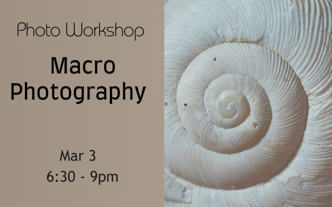 Macro Photography Workshop