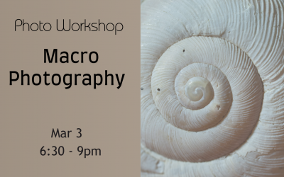Macro Photography Workshop