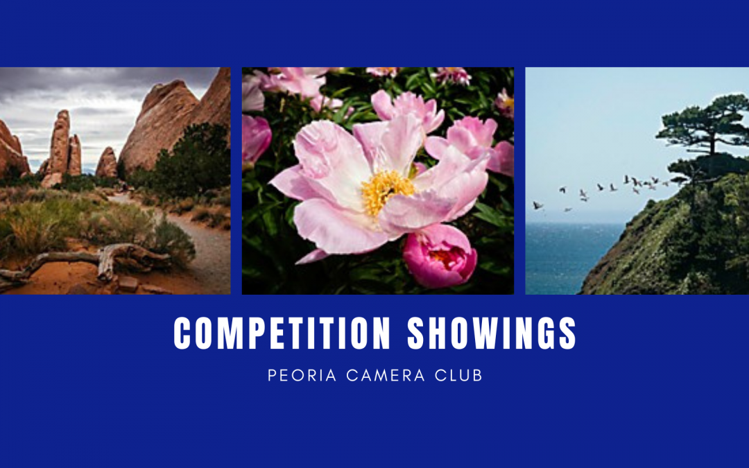 Competition Showings and Our Annual Business Meeting