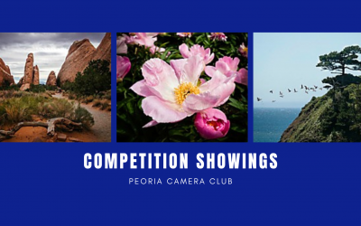 Competition Showings and Our Annual Business Meeting