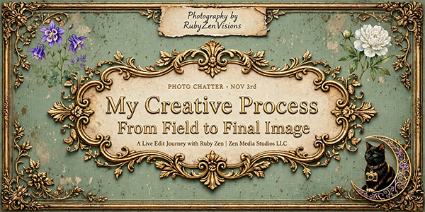 nov-3-title-graphic 600px